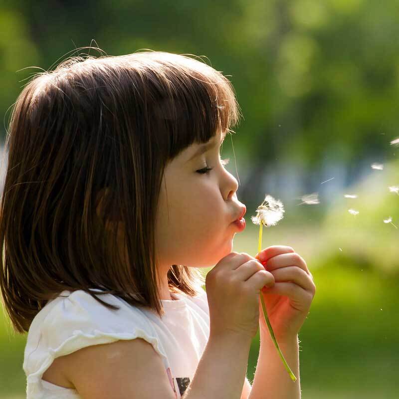 special-2 image special-2.jpg